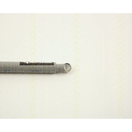 amortizor de legatura, inst. de injectie amortizor de legatura, inst. de injectie