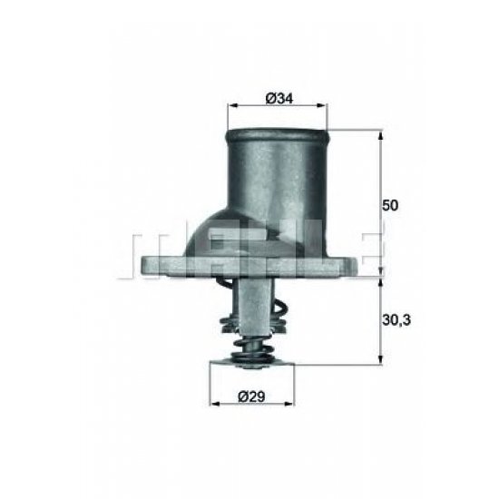 termostat,lichid racire