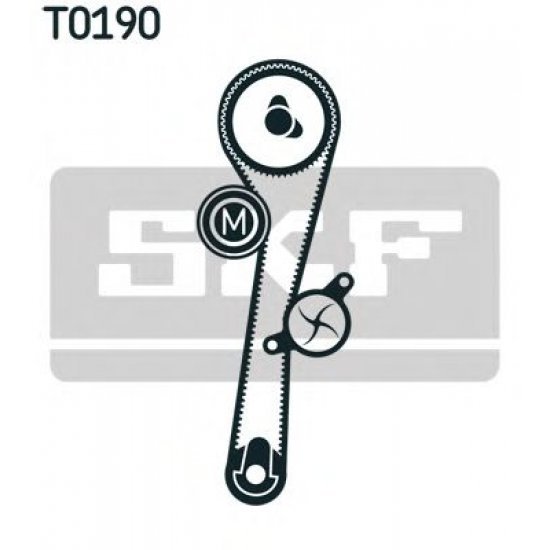 Set curea de distributie