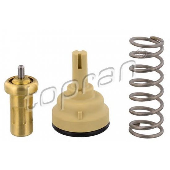 termostat,lichid racire