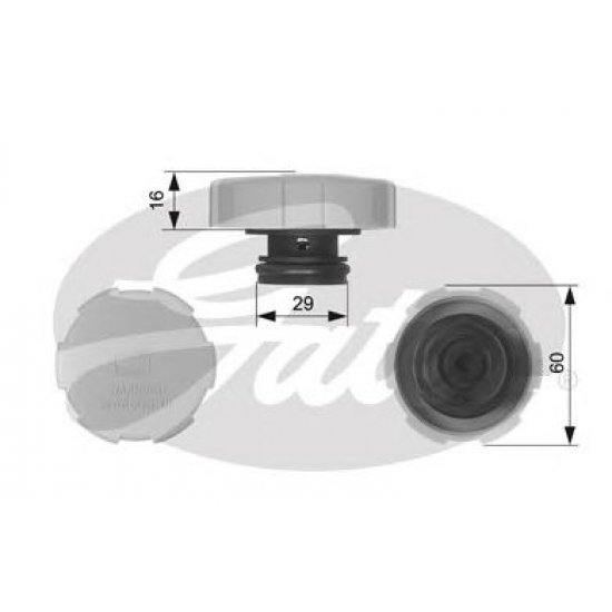 buson,vas expansiune