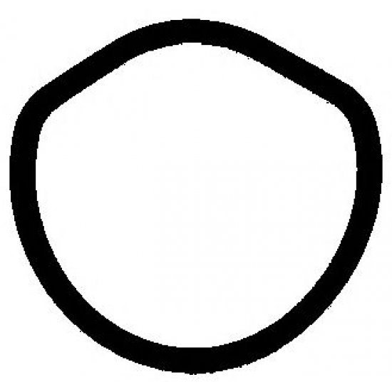 Garnituri, carcasa filtru ulei