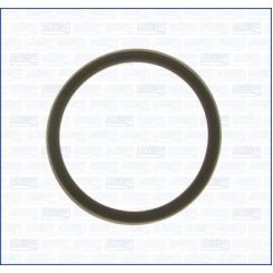 Garnitura termostat