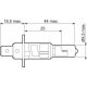 Bec H1 12V 55W P14,5s PLUS 50