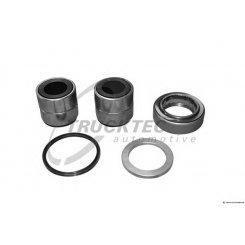 Set reparatie, pivot Set reparatie, pivot