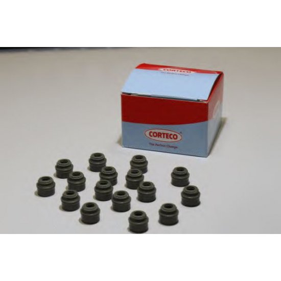 Set garnituri, ax supape Set garnituri, ax supape