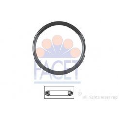 Garnitura termostat Garnitura termostat