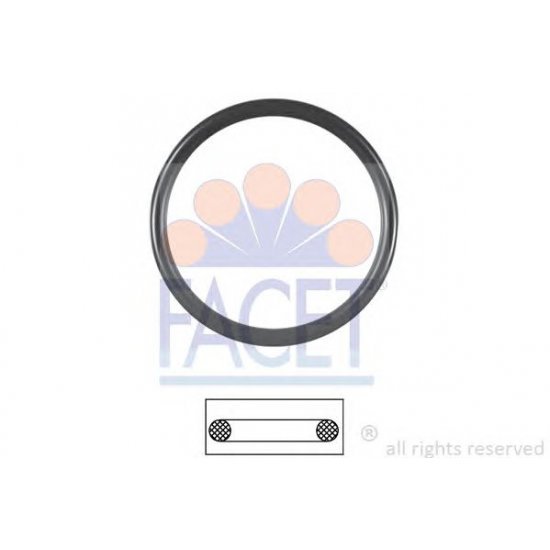 Garnitura termostat Garnitura termostat