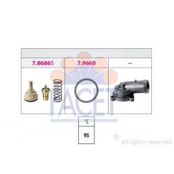 termostat,lichid racire