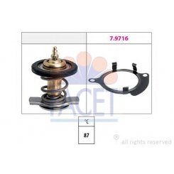 termostat,lichid racire