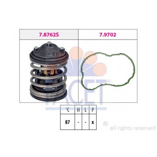 termostat,lichid racire