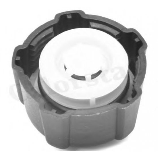 Buson vas expansiune CALORSTAT by Vernet RC0016