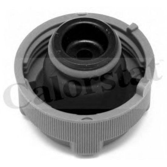 Buson vas expansiune CALORSTAT by Vernet RC0023