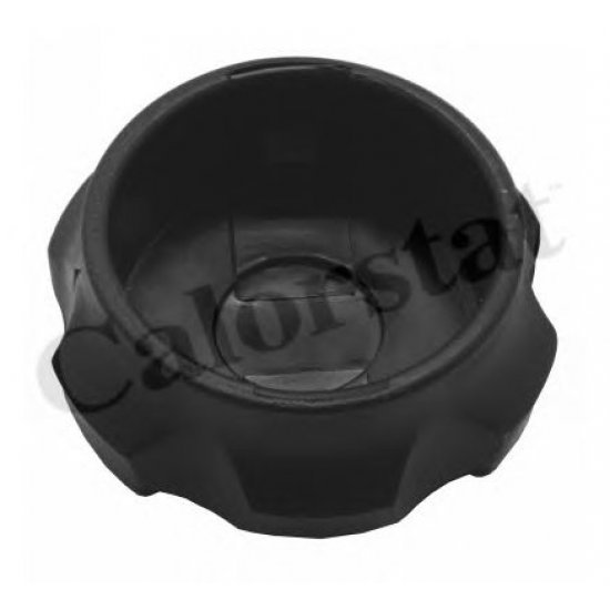 Buson vas expansiune CALORSTAT by Vernet RC0161