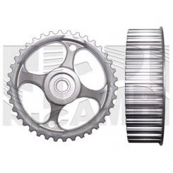 FULIE ARBORE CU CAME