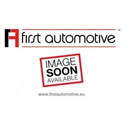 FILTRU AER HABITACLU CARBON AC