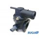 CARCASA +TERMOSTAT COMPLECT CARCASA +TERMOSTAT COMPLECT