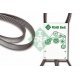 CUREA ACCESORII fara AC