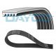 CUREA ACCESORII fara AC