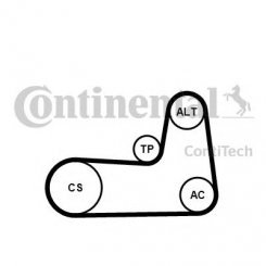 COL. ANTRENARE DISTRIBUTIE COL. ANTRENARE DISTRIBUTIE