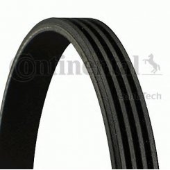 8200830192  CUREA STRIATA