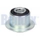 BUCSA ARC 100951 BUCSA ARC 100951