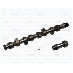 Arbore cu came Arbore cu came