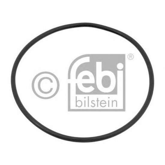 Garnitura, pompa de apa