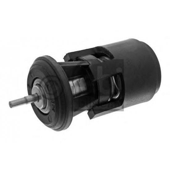 termostat,lichid racire