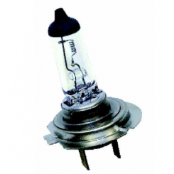 Bec H7 24V