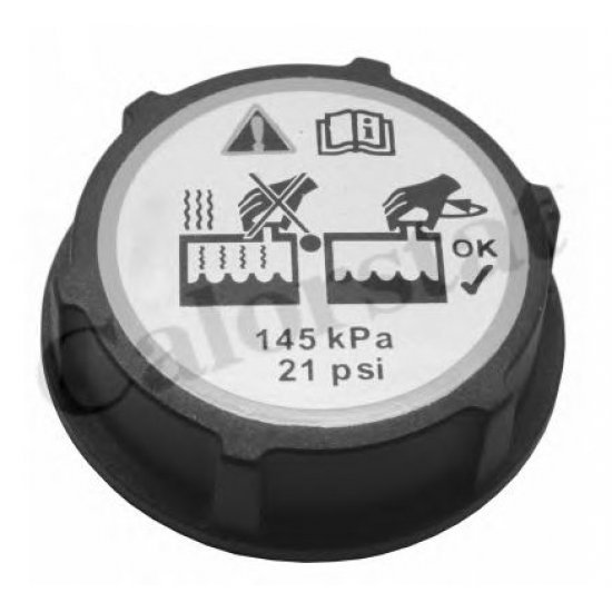 Buson radiator CALORSTAT by Vernet RC0150