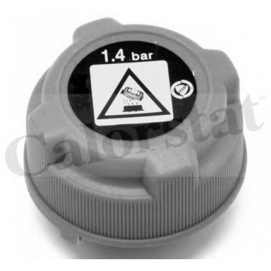 Buson vas expansiune CALORSTAT by Vernet RC0023