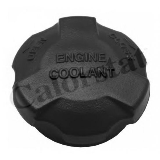 Buson vas expansiune CALORSTAT by Vernet RC0161