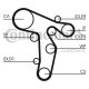 Curea de distributie CONTITECH CT1134 Curea de distributie CONTITECH CT1134