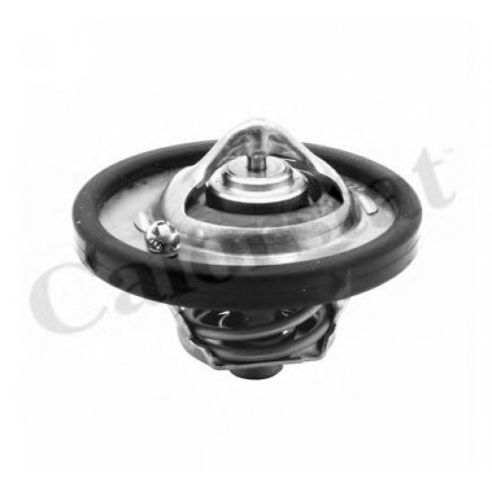 Termostat, lichid racire CALORSTAT by Vernet TH683774J