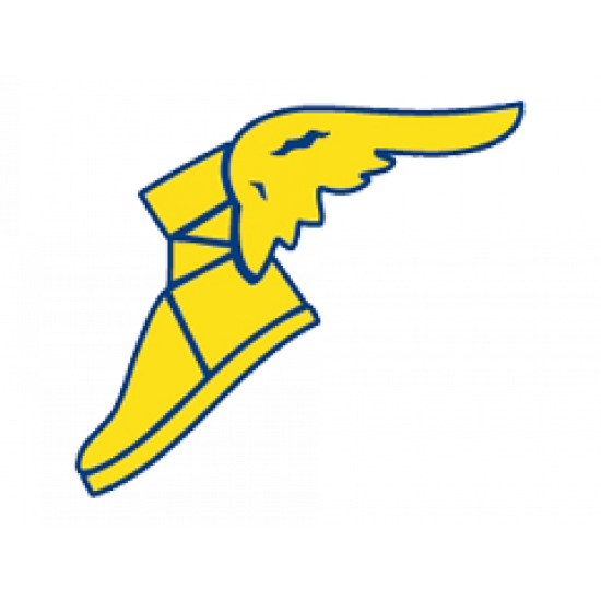 Anvelope Vara GOODYEAR EAG F1 ASY 5 FP 255/40 19 100 Y XL